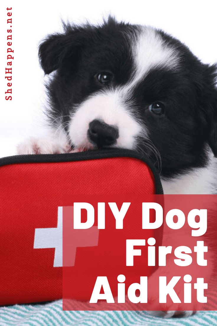 border collie puppy laying on a blanket holding onto a first aid kit with the title DIY Dog First Aid Kit on it