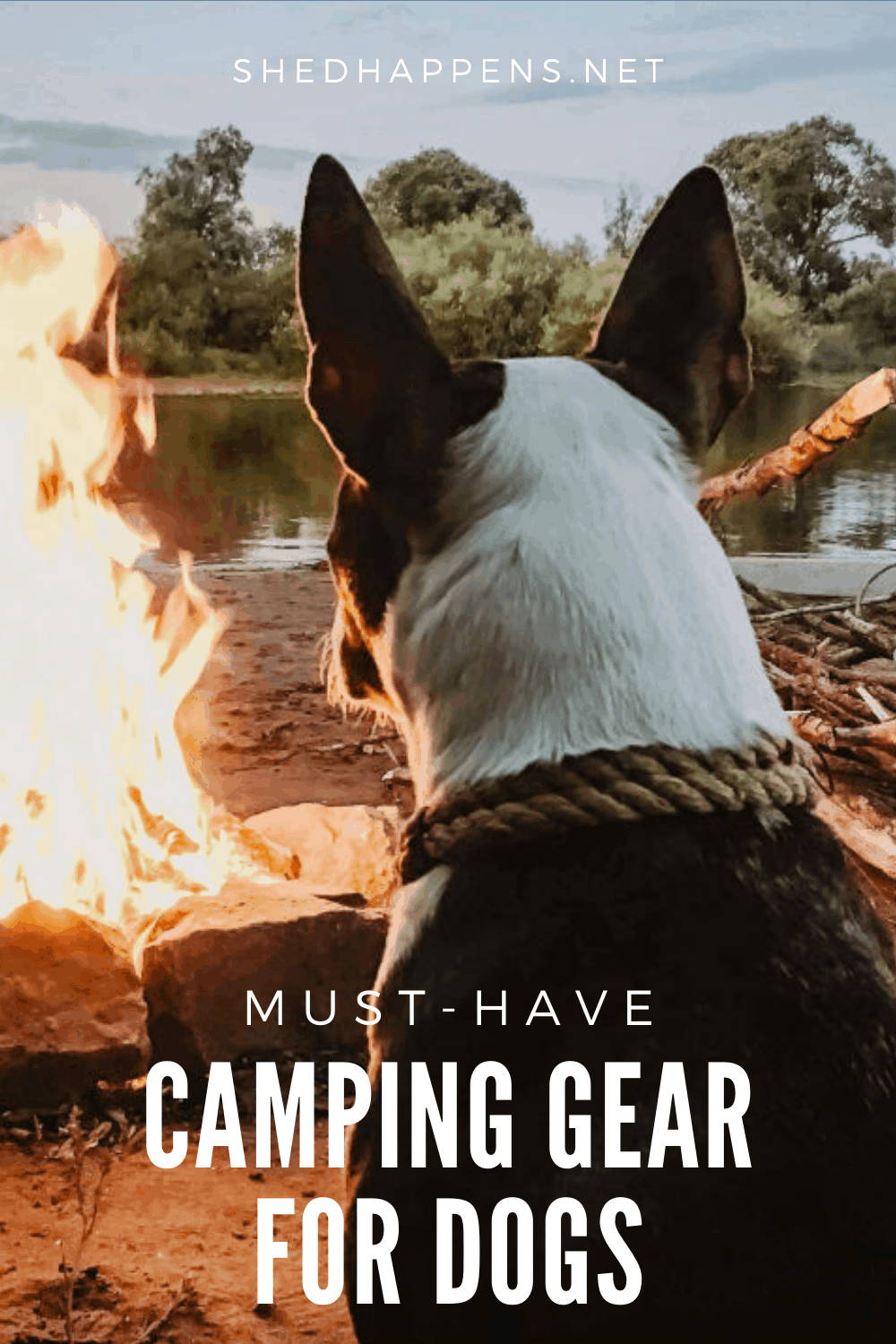 black and white dog sitting in front of a campfire outside by a lake with the title must-have camping gear for dogs