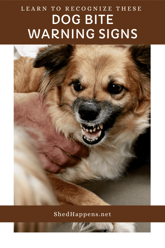 small brown dog sitting next to a person, teeth barred in a warning with the title learn to recognize these dog bite warning signs