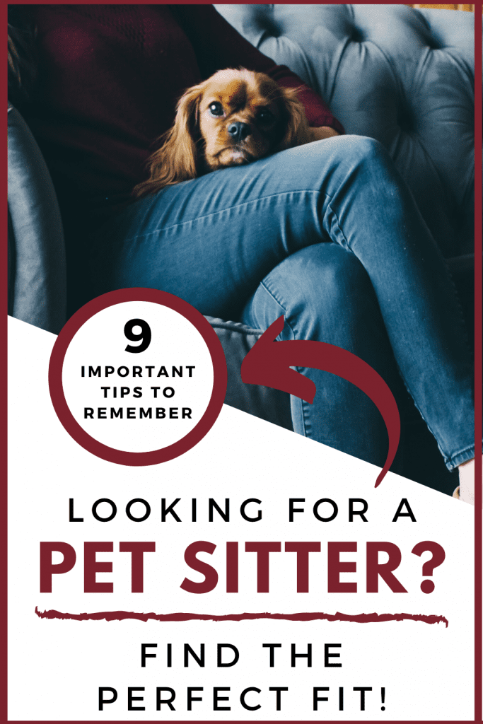 woman sitting on a couch wearing a burgundy sweater and blue jeans with a small brown dog on her lap with the title looking for a pet sitter? find the perfect fit