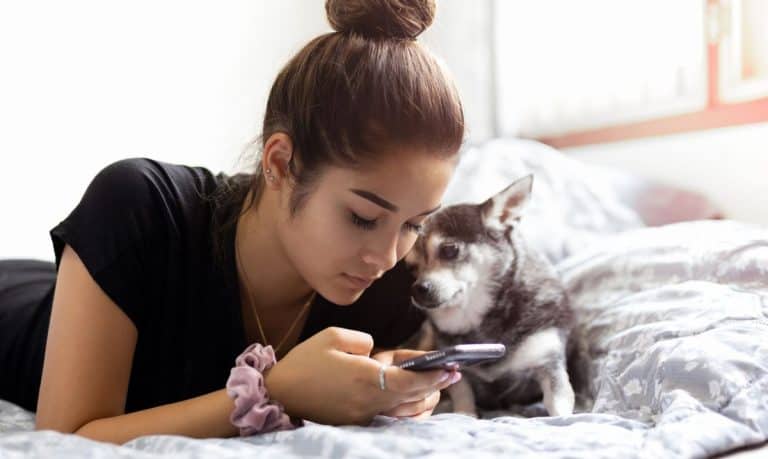 woman with brown hair pulled back in a bun laying on her stomach looking at her cellphone with a small dog beside her