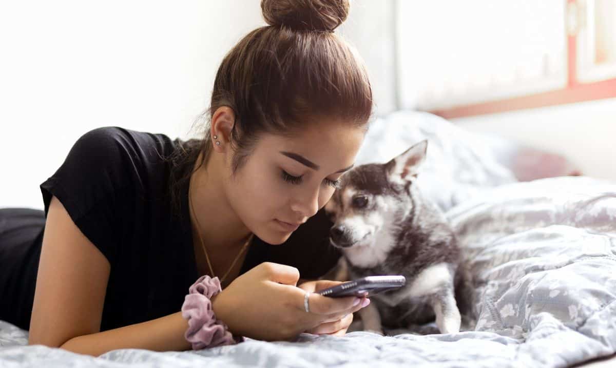 woman with brown hair pulled back in a bun laying on her stomach looking at her cellphone with a small dog beside her