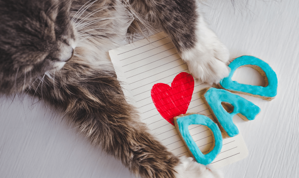 long-haired tabby cat laying on a piece of paper with a red heart drawn on it and the letters D-A-D in blue on top of it