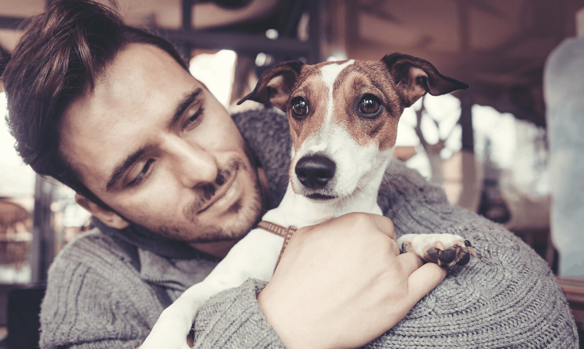 man in a grey sweater holding onto a small brown and white Jack Russell dog