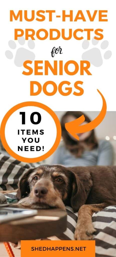 brown, tan and grey senior dog laying on a couch, on top of a striped blanket, resting it's head on the table with the title must-have products for senior dogs