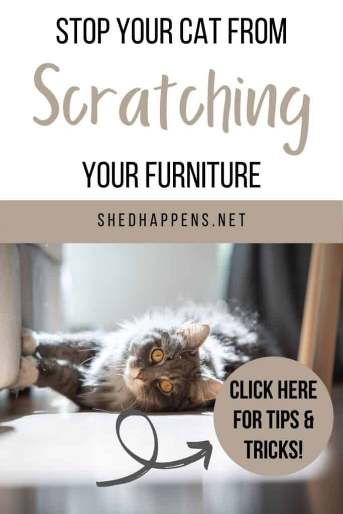 grey tabby laying on a light grey carpet on it's side, paws on a light grey couch as it looks forward with the text Stop Your Cat From Scratching Your Furniture