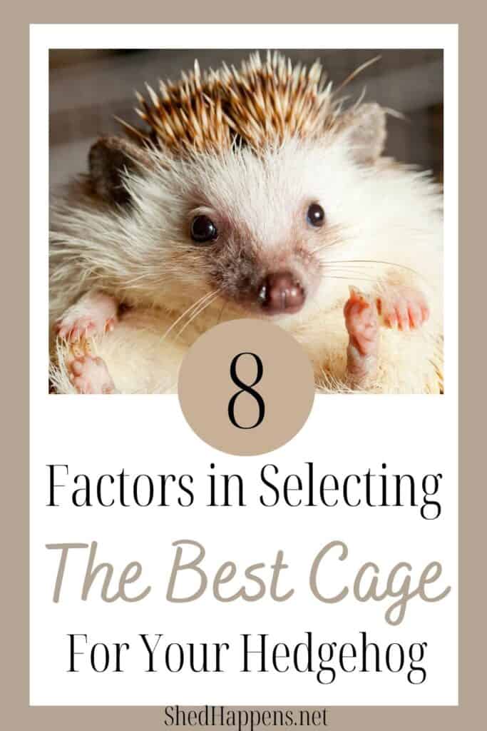 brown and white hedgehog rolled into a ball, it's face staring straight forward with text announcing the 8 factors for selecting the best hedgehog cage