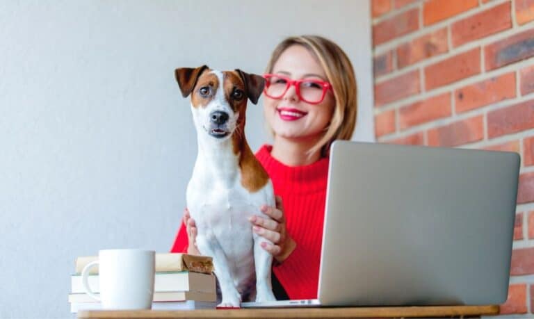 blonde woman with red glasses and a red sweater sitting at a desk with a silver laptop, a small brown sand white dog sitting on the desk