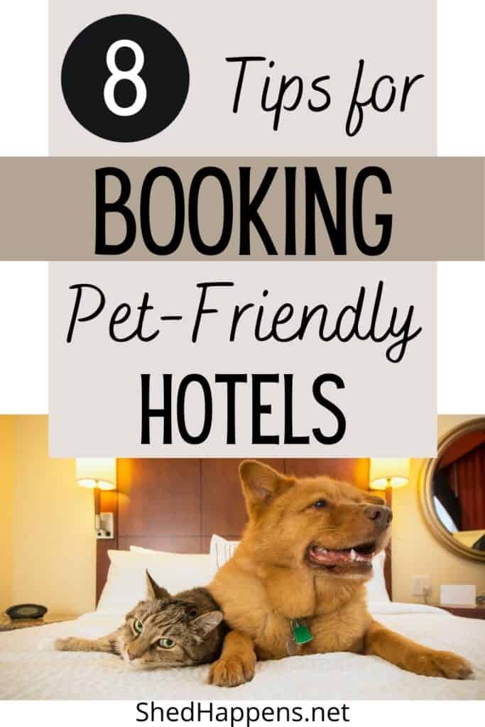 A brown tabby cat and a larger brown dog laying on a hotel bed with a title boasting tips for booking pet-friendly accommodations. 