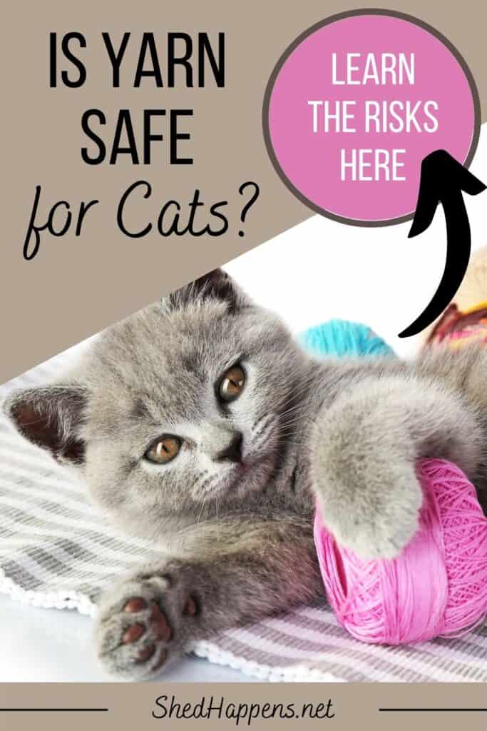 small grey kitten laying on its right side on a grey and white striped rug with balls of yarn behind it, it's front left paw resting on a ball of pink yarn. Above it, text asks is yarn safe for cats?