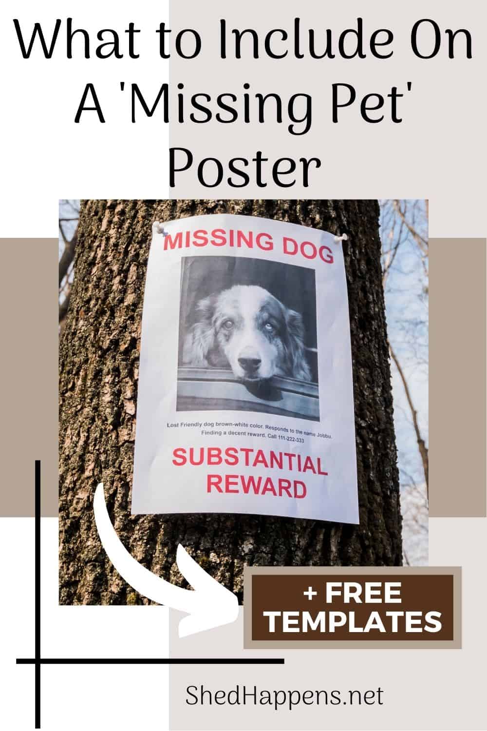 A 'missing dog' poster with red text and a black and white photo of a dog tacked up on a tree trunk. The text states what to include on a missing pet poster.
