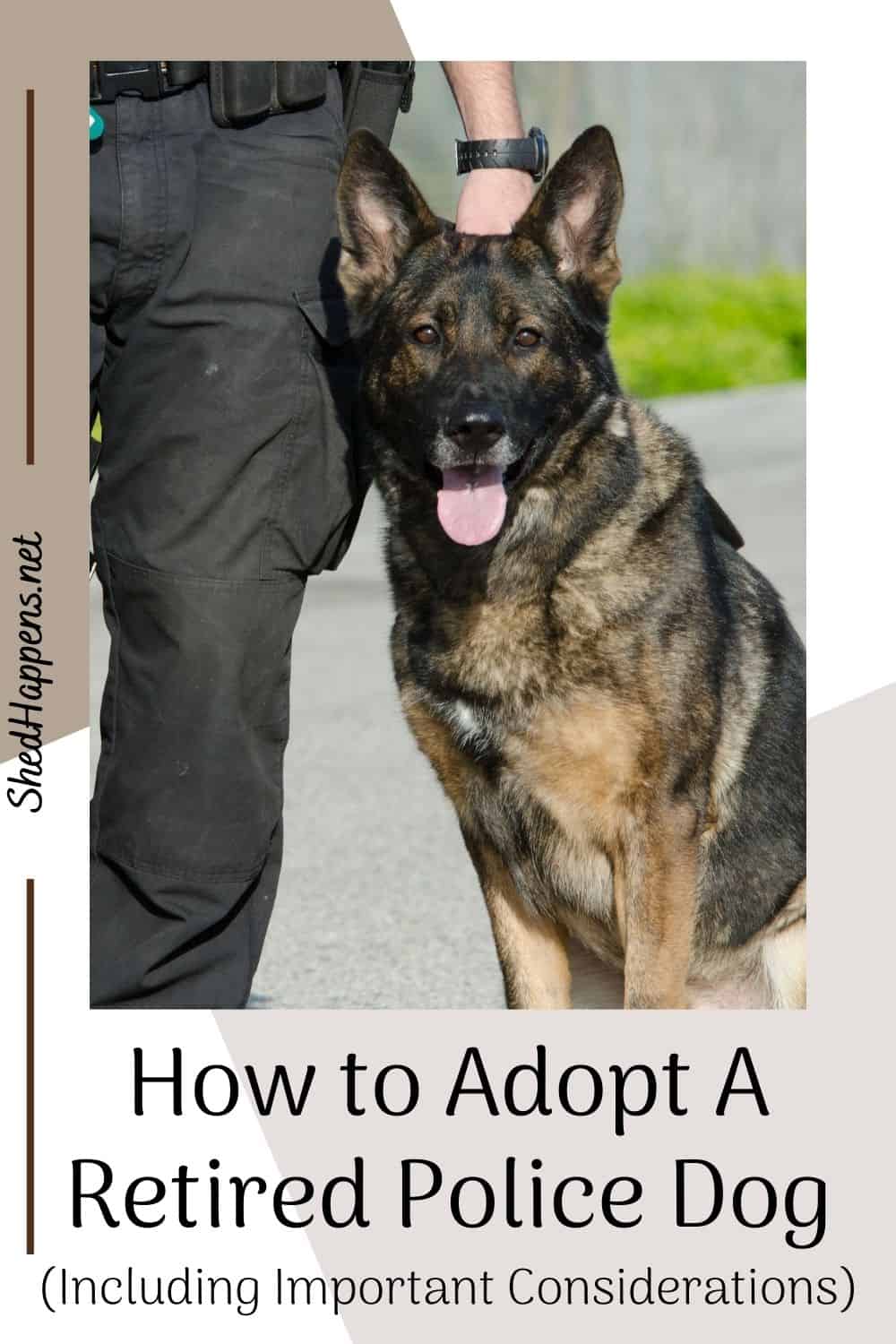 A black and brown police dog is sitting next to its handler, the officer's hand on its collar, outside next to the open door of a police cruiser. Text at the bottom states how to adopt a retired police dog (including important considerations)