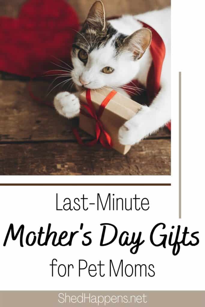 White cat with brown tabby patches on its head and back is laying on a wooden surface next to a red heart cutout, holding a brown paper package gift wrapped in red ribbon.  Text announces last-minute Mother's Day gifts for pet moms. 