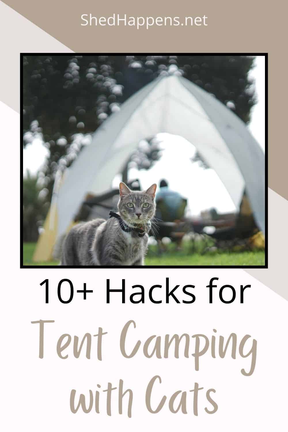 A silver-grey tabby cat is standing outdoors in the grass, wearing a cat harness. In the distance, people are sitting at a picnic table under a tent. Text states: 10+ hacks for tent camping with cats. 
