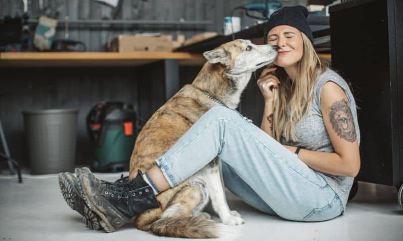 woman and dog sitting on floor cuddling | How to Bond with Your Rescue Dog