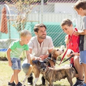 family gathered around two dogs on leash | Find A Rescue Pet