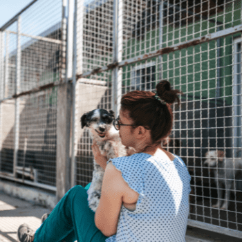 woman sitting in a shelter holding a dog feature | Find A Rescue Pet