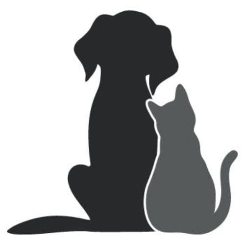 place marker image | 5 Questions to Ask Pet-Friendly Hotels