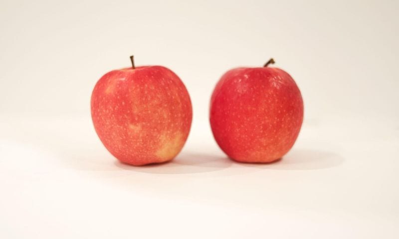 two red apples on a white background | Can Guinea Pigs Eat Apples?