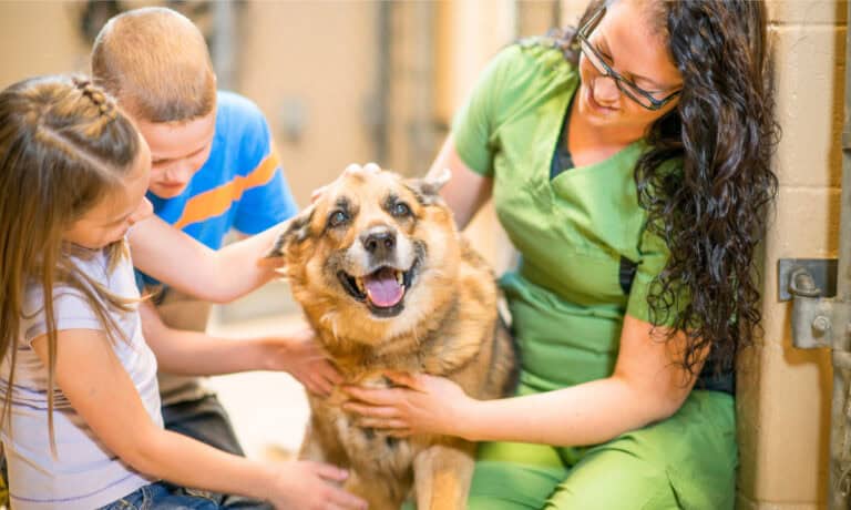 two children petting a dog with an animal shelter volunteer | Meaningful Ways to Involve Your Children in Supporting Animal Rescue Efforts