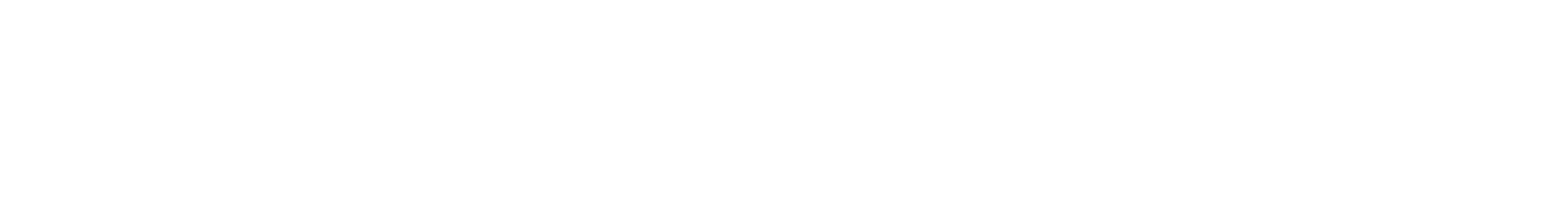 White logo with a laptop icon containing code brackets on the left, followed by the text "ShelleyWeb" in large, bold letters.