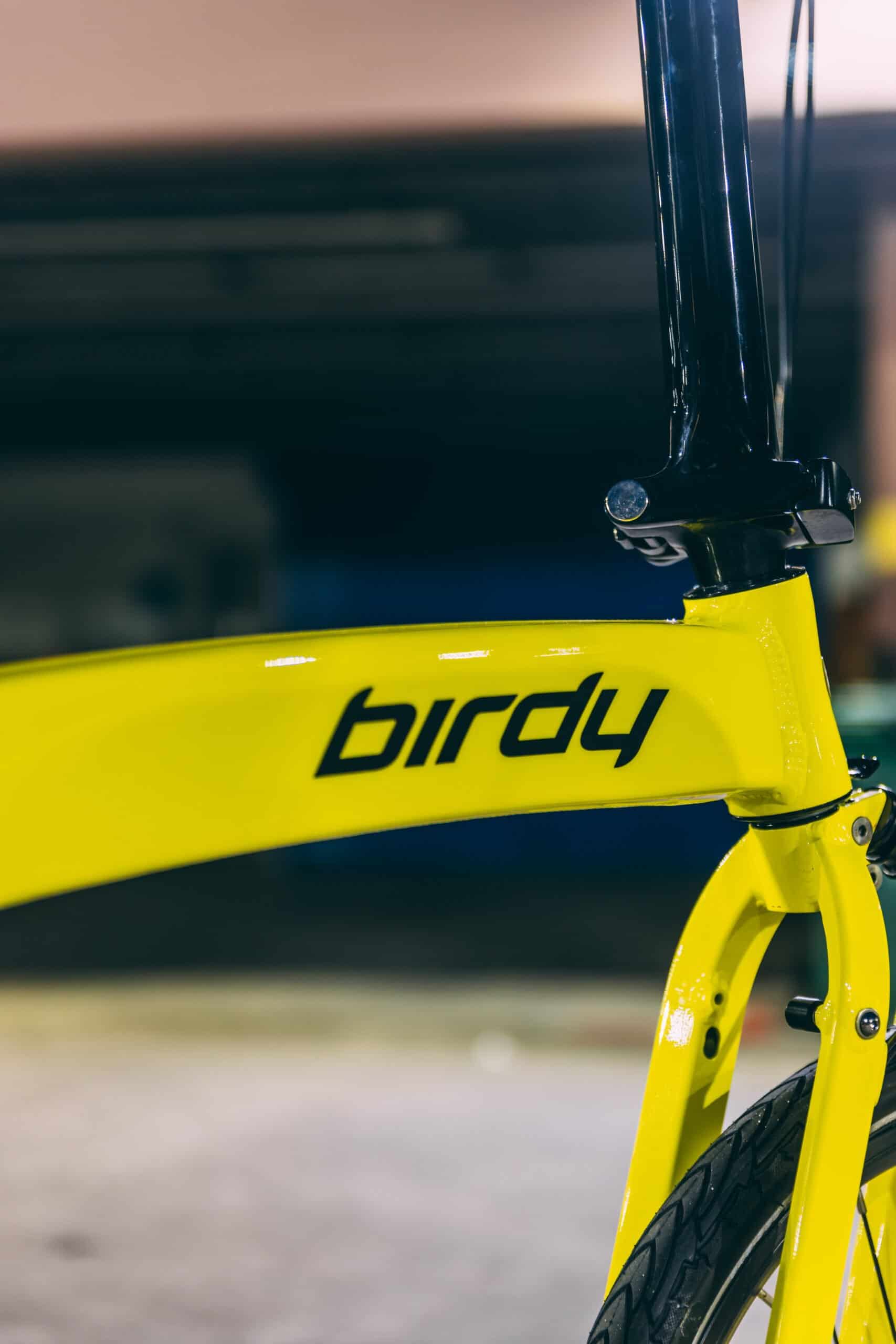 Protection film for Birdy bike frame and components.