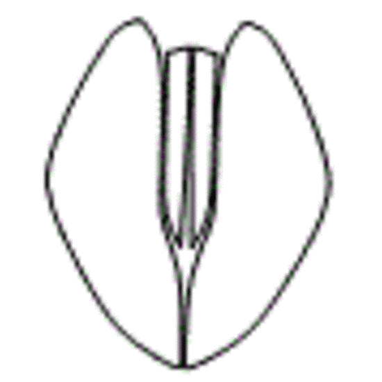 Tesla Model-3 Headlamp and Fog Lamp Kit - Image 2