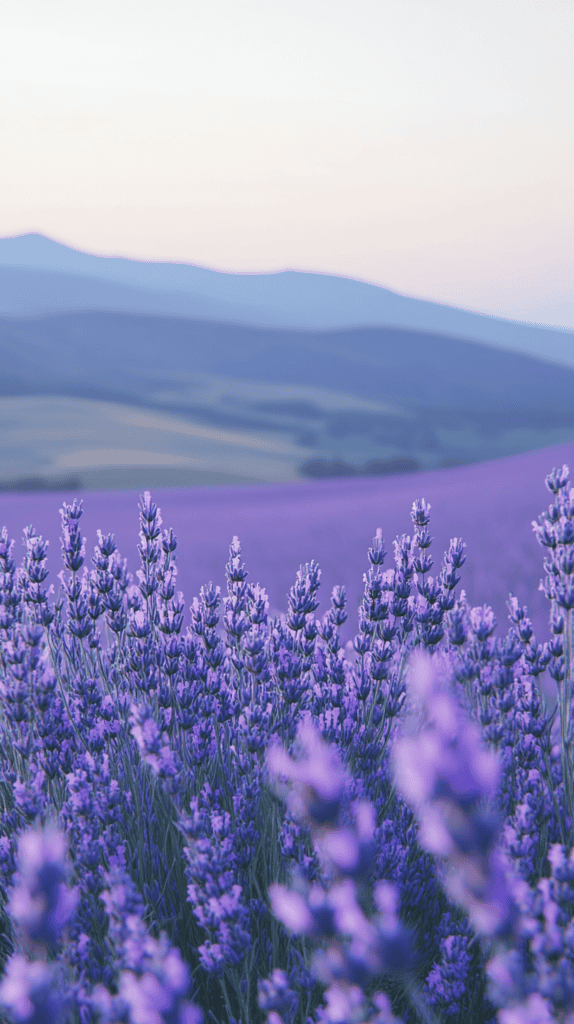 The Curious Case of Purple Wallpapers: 18 Designs That Will Transform Your Device 6 Lavender Dreams 2
