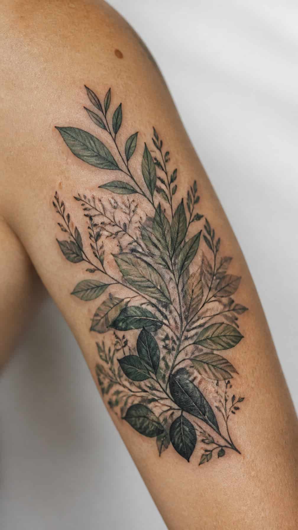 A botanical leaf tattoo covers an older design on a person’s skin.