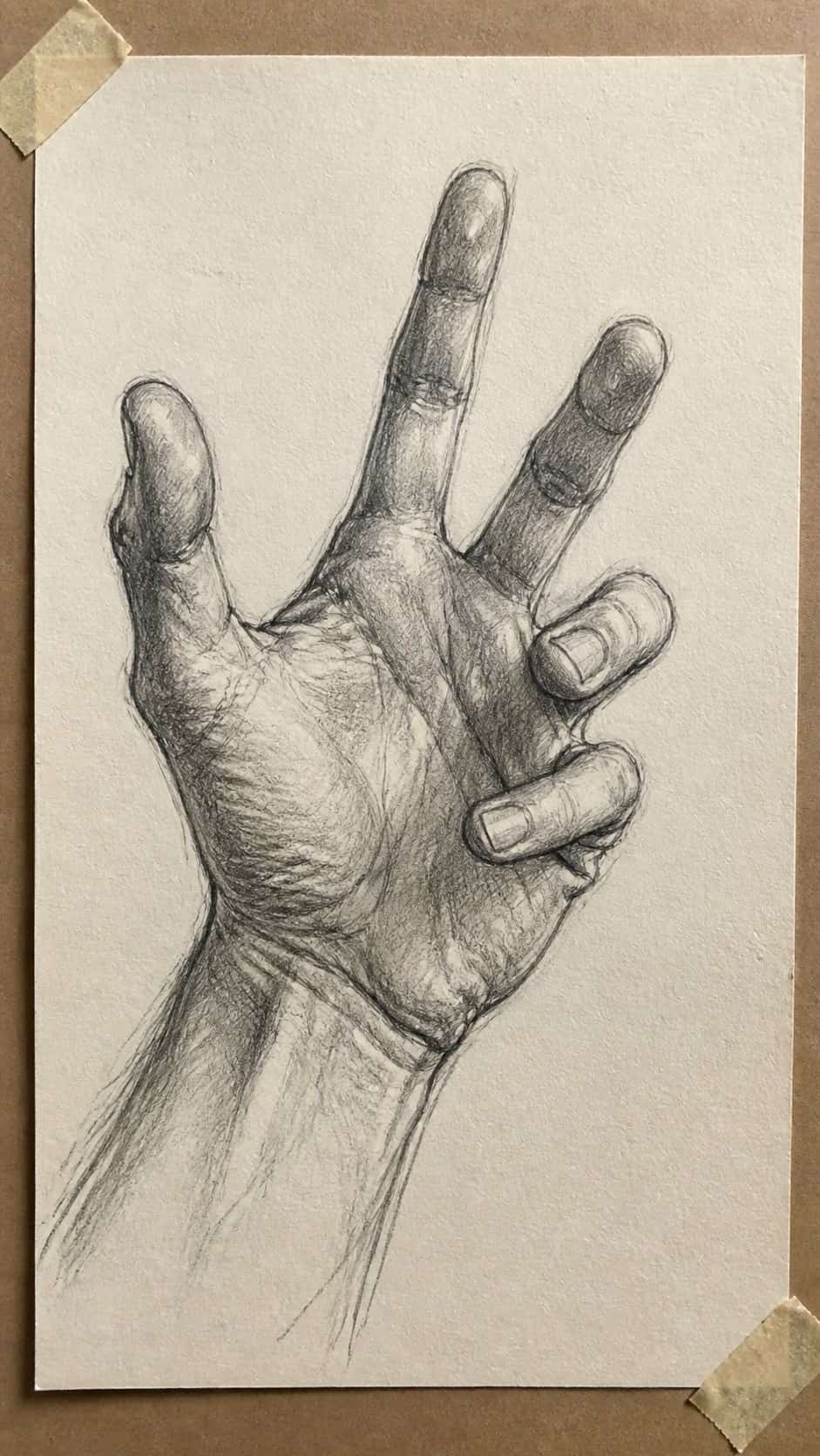 19 Creative Body Sketch Ideas Every Artist Should Try 7 Hand-drawn expressive hand gestures in graphite drawing on textured paper, shown in a close overhead crop — study 2