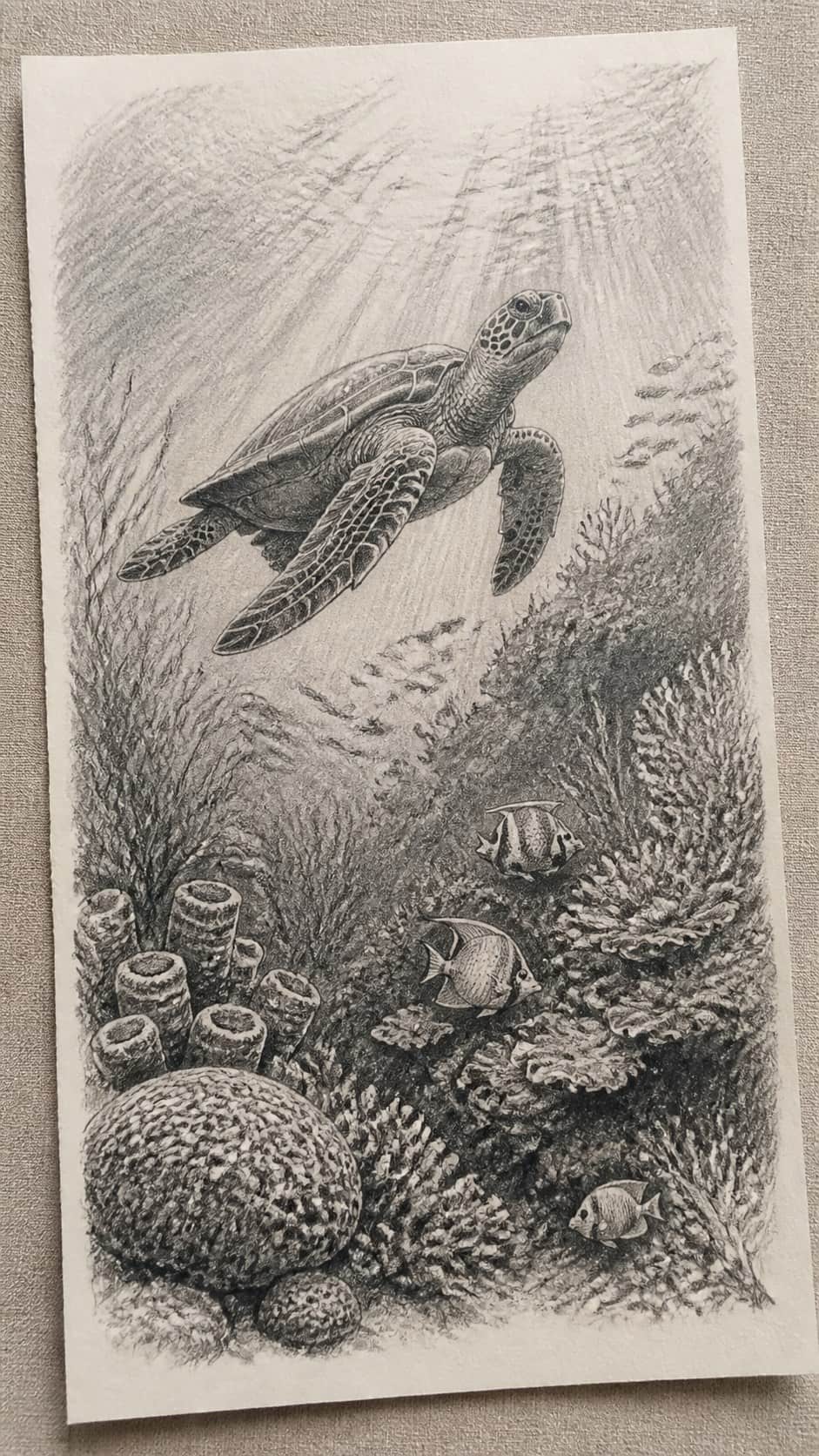 Unlocking the Artist Within: 21 Must-Try Doodle Drawing Ideas 31 Hand-drawn underwater worlds in graphite drawing on textured paper, shown in a gentle oblique desk view that shows paper tooth and — study 2