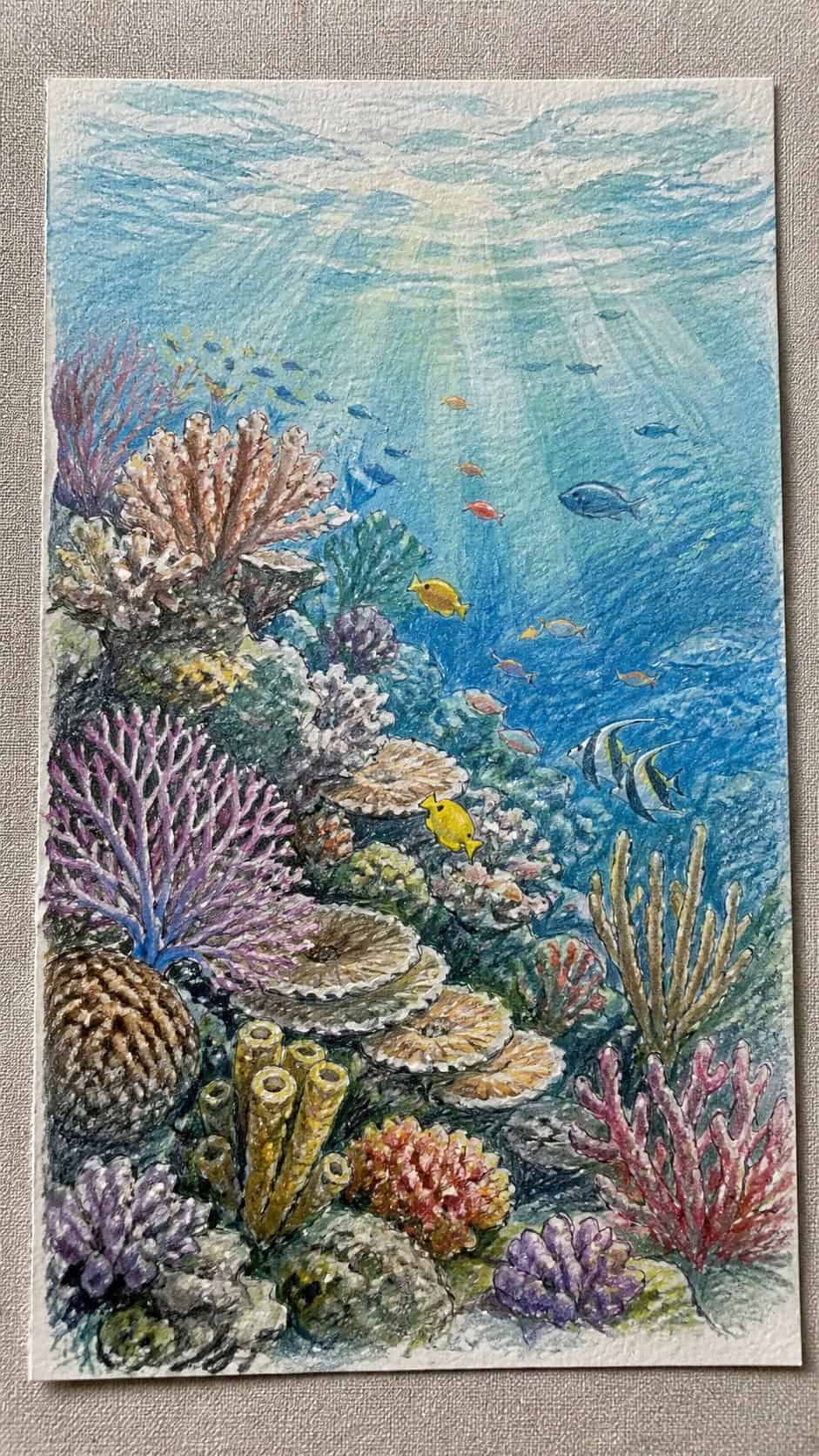 20 Challenging Drawing Ideas to Push Your Artistic Limits 15 Hand-drawn underwater coral reef scene in colored-pencil and gouache drawing on textured paper, shown in a close overhead crop — study 1