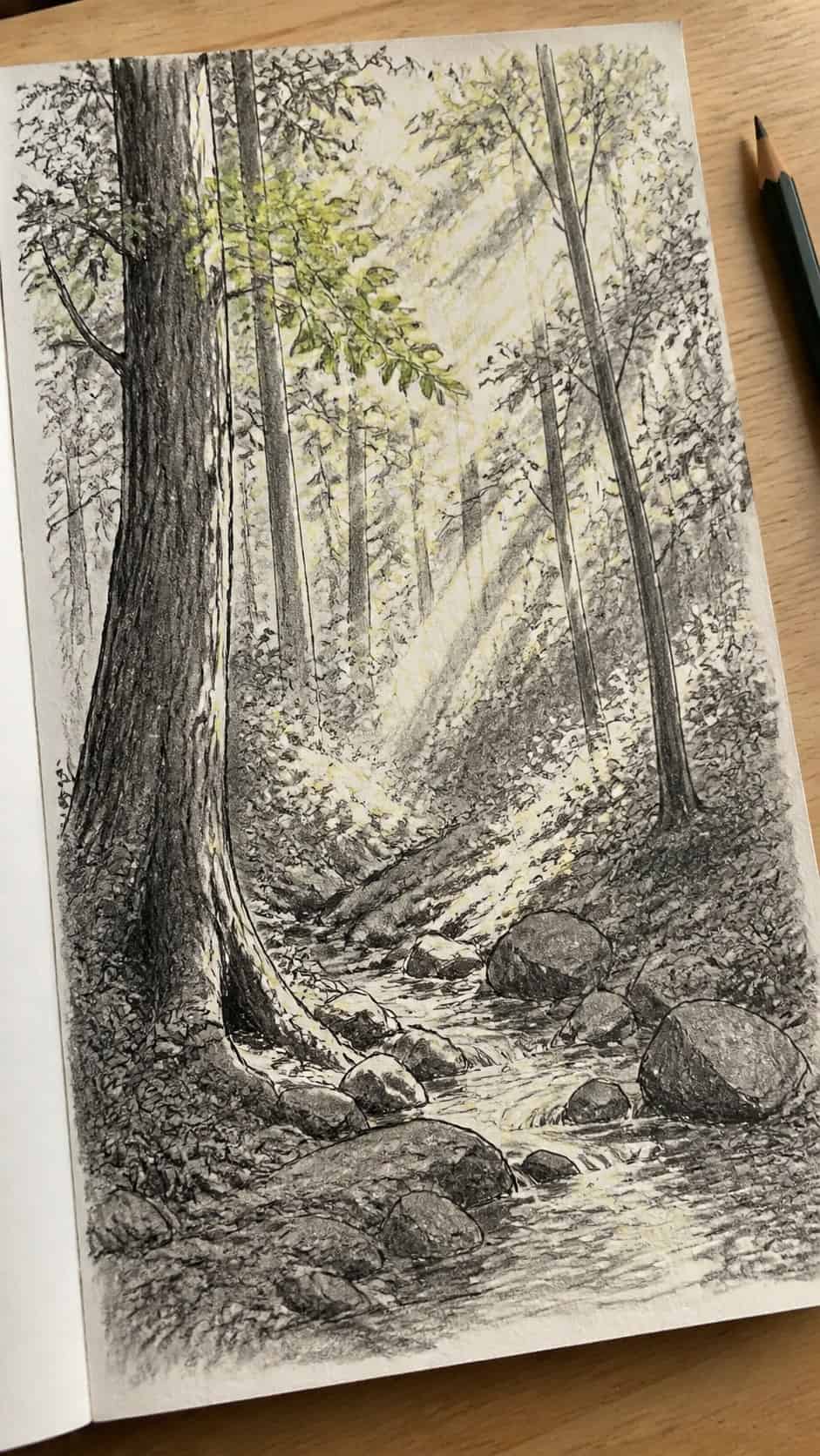 20 Challenging Drawing Ideas to Push Your Artistic Limits 22 Hand-drawn forest scene with dappled light in mixed-media hand drawing on textured paper, shown in a gentle oblique desk view that — study 2