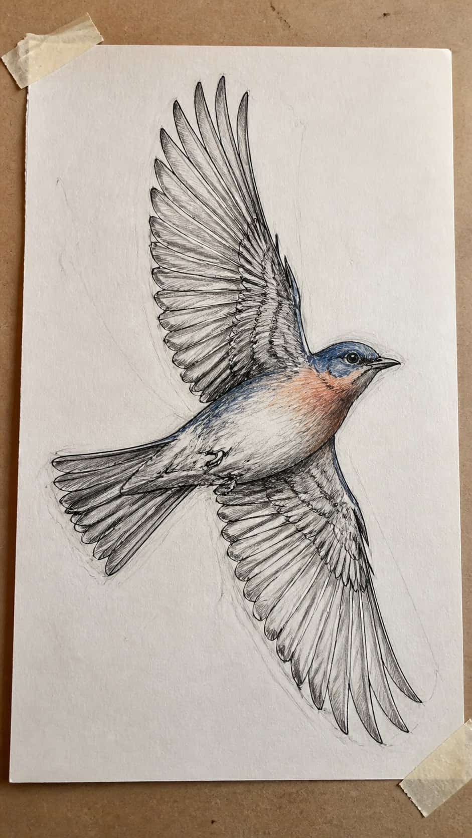 20 Challenging Drawing Ideas to Push Your Artistic Limits 42 Hand-drawn bird in flight in mixed-media hand drawing on textured paper, shown in a slightly off-center overhead composition, like an — study 1