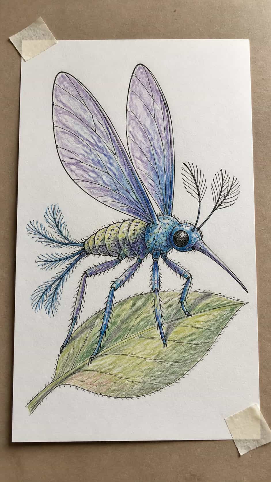 Discover the 15 Drawing Ideas Guaranteed to Unlock Your Child's Inner Picasso 14 Hand-drawn invent a new insect in colored-pencil drawing on textured paper, shown in a slightly off-center overhead composition, like — study 1