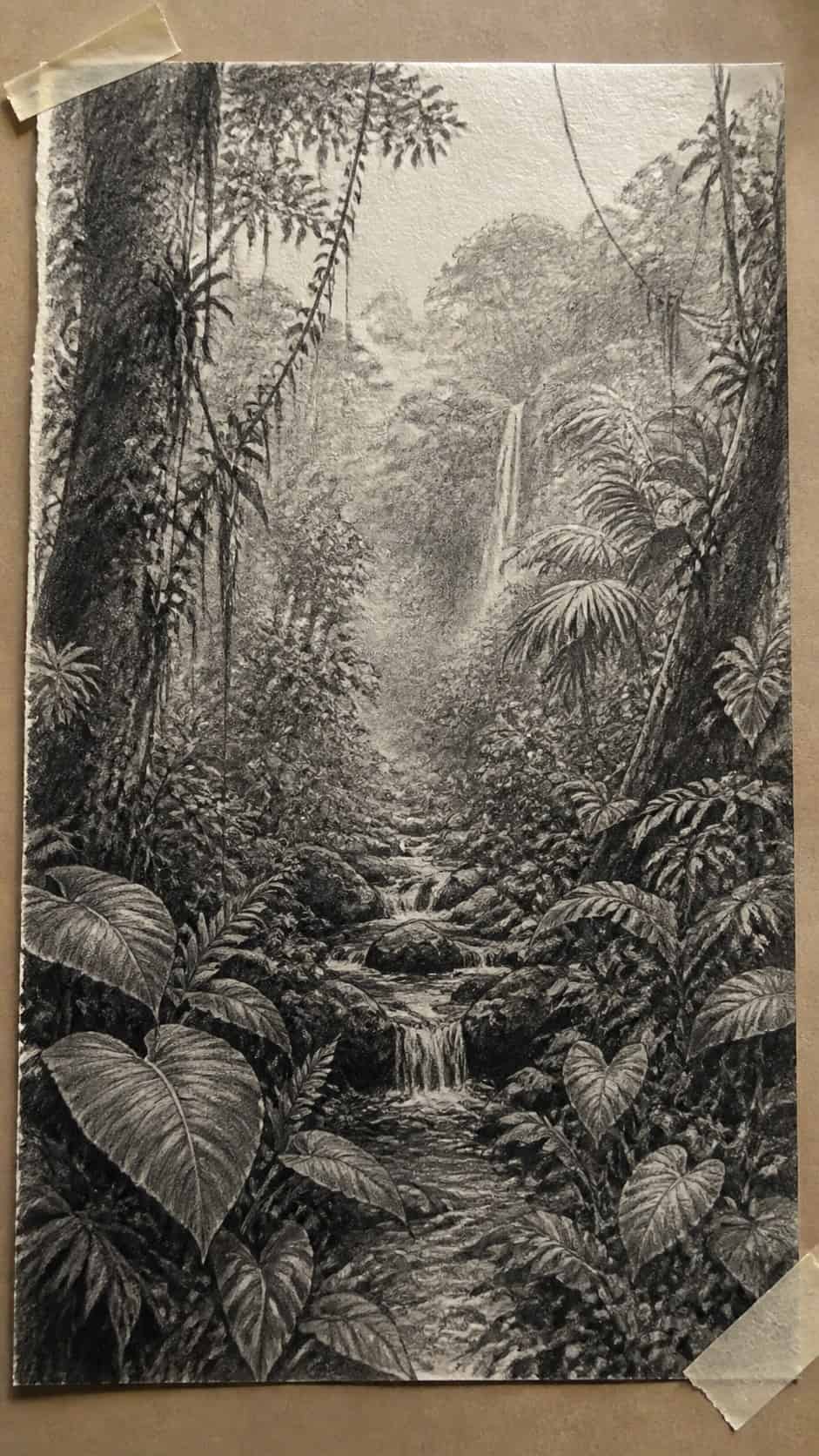 17 Nature Drawing Concepts to Inspire Your Next Sketch 39 Hand-drawn verdant rainforest in graphite drawing on textured paper, shown in a close overhead crop — study 2