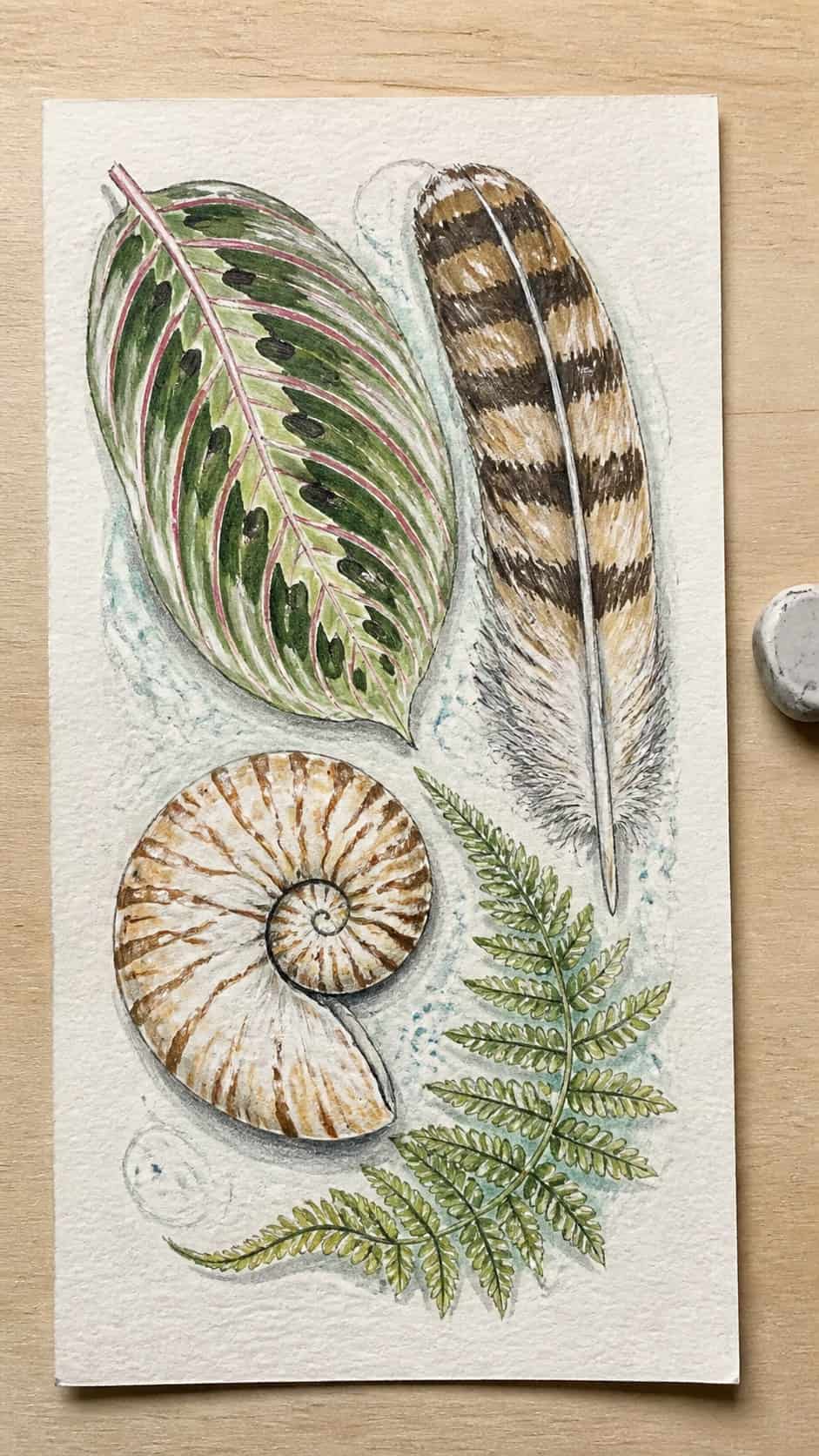 15 Easy Drawing Ideas That Keep Kids Entertained for Hours 31 Hand-drawn nature's patterns in colored-pencil and gouache drawing on textured paper, shown in a straight overhead view — study 2