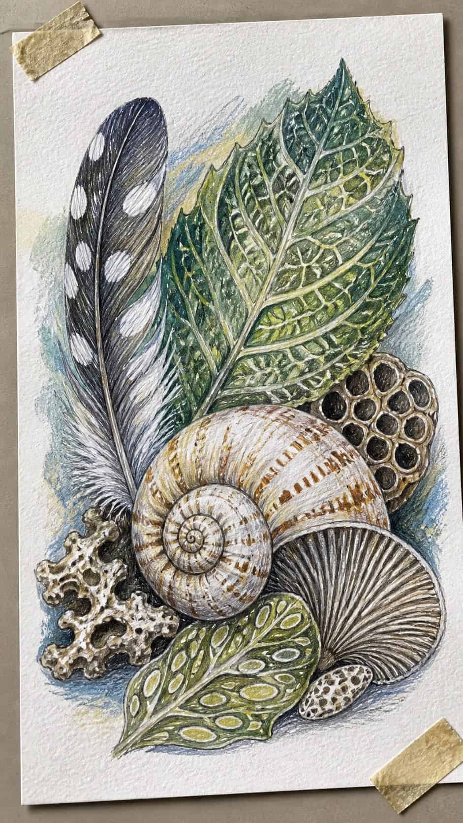 15 Easy Drawing Ideas That Keep Kids Entertained for Hours 32 Hand-drawn nature's patterns in colored-pencil and gouache drawing on textured paper, shown in a gentle oblique desk view that shows — study 3