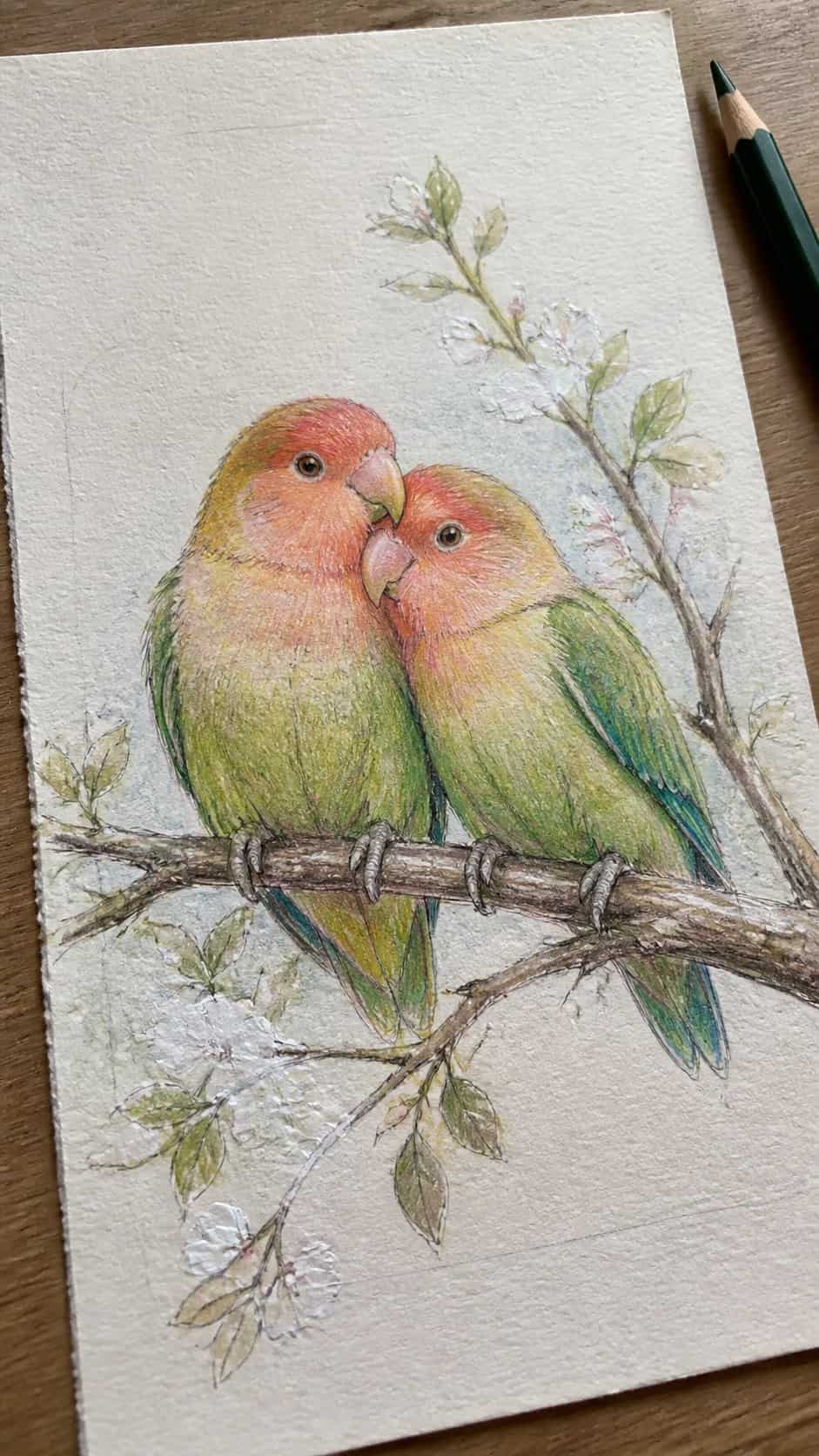 Hand-drawn lovebirds on a branch in colored-pencil and gouache drawing on textured paper, shown in a gentle oblique desk view that — study 2