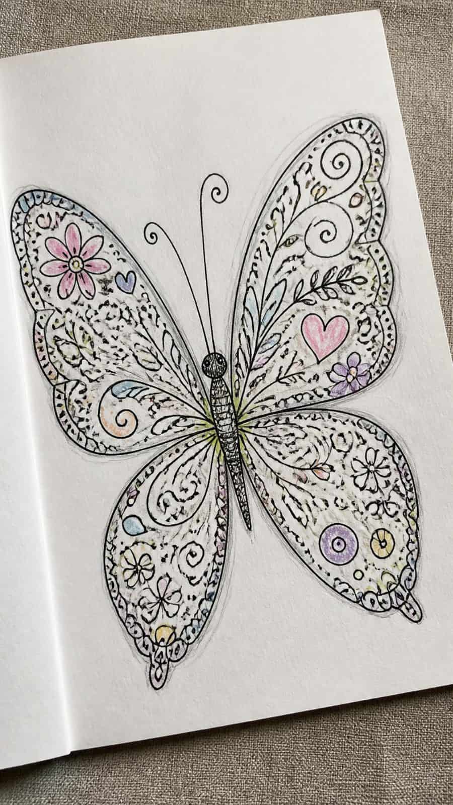 Bored of the Usual? Discover 16 Fresh Butterfly Drawing Concepts 22 Hand-drawn doodle butterfly in ink and colored-pencil drawing on textured paper, shown in a gentle oblique desk view that shows paper — study 1
