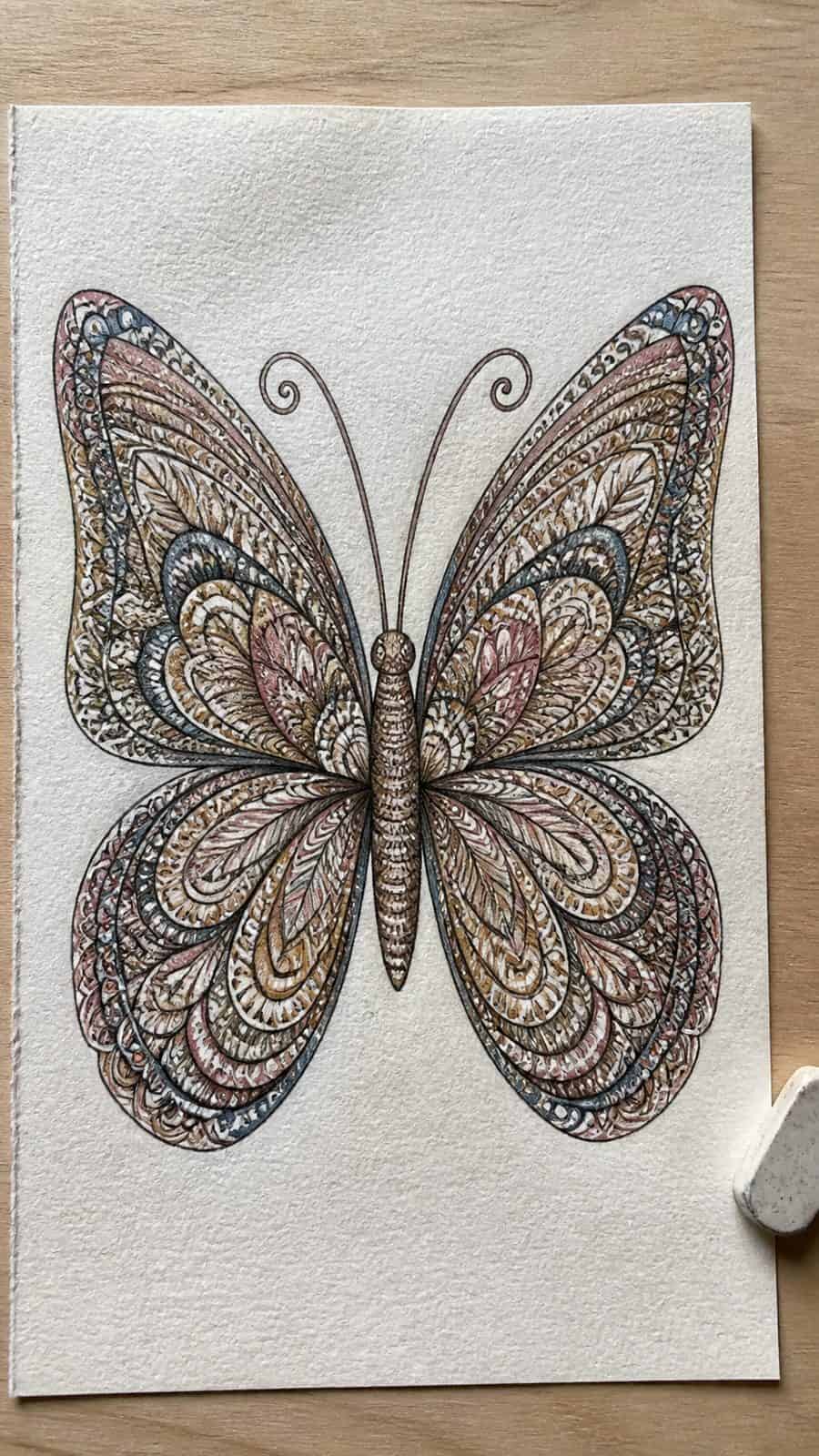 Bored of the Usual? Discover 16 Fresh Butterfly Drawing Concepts 30 Hand-drawn zentangle butterfly in colored-pencil and gouache drawing on textured paper, shown in a close overhead crop — study 2