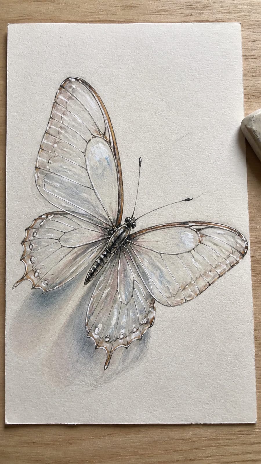 Bored of the Usual? Discover 16 Fresh Butterfly Drawing Concepts 32 Hand-drawn butterfly with transparent wings in colored-pencil and gouache drawing on textured paper, shown in a slightly off-center — study 1