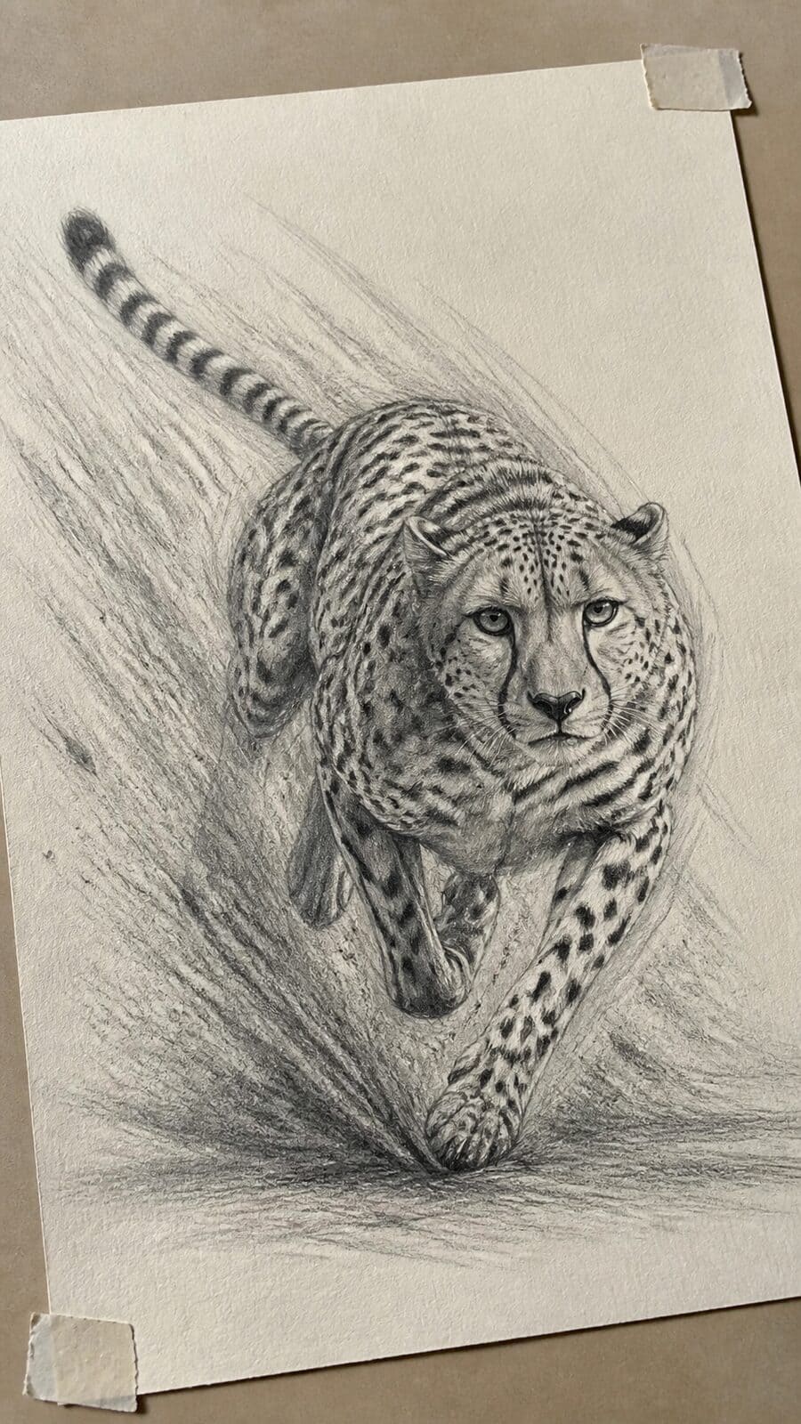 The 19 Animal Drawing Ideas Every Aspiring Artist Should Try 17 Hand-drawn agile cheetah sprint in graphite drawing on textured paper, shown in a gentle oblique desk view that shows paper tooth and — study 1