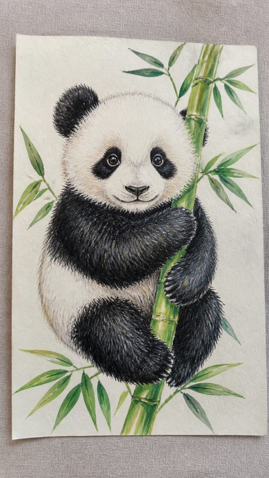 The 19 Animal Drawing Ideas Every Aspiring Artist Should Try 20 Hand-drawn adorable panda bear in colored-pencil and gouache drawing on textured paper, shown in a straight overhead view — study 1