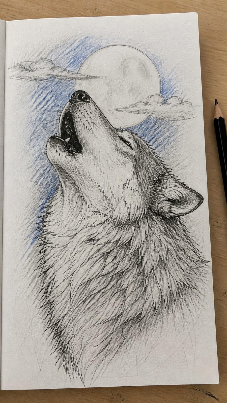 The 19 Animal Drawing Ideas Every Aspiring Artist Should Try 42 Hand-drawn majestic wolf howling in mixed-media hand drawing on textured paper, shown in a close overhead crop — study 2