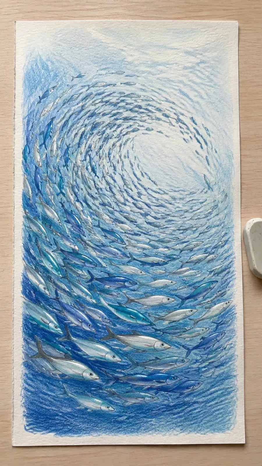 Hand-drawn shimmering school of fish in colored-pencil and gouache drawing on textured paper, shown in a slightly off-center overhead — study 1