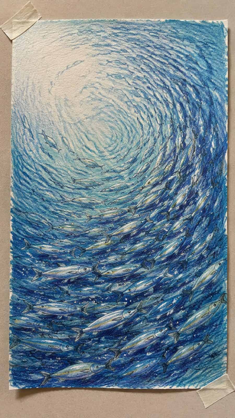 Hand-drawn shimmering school of fish in colored-pencil and gouache drawing on textured paper, shown in a straight overhead view — study 2