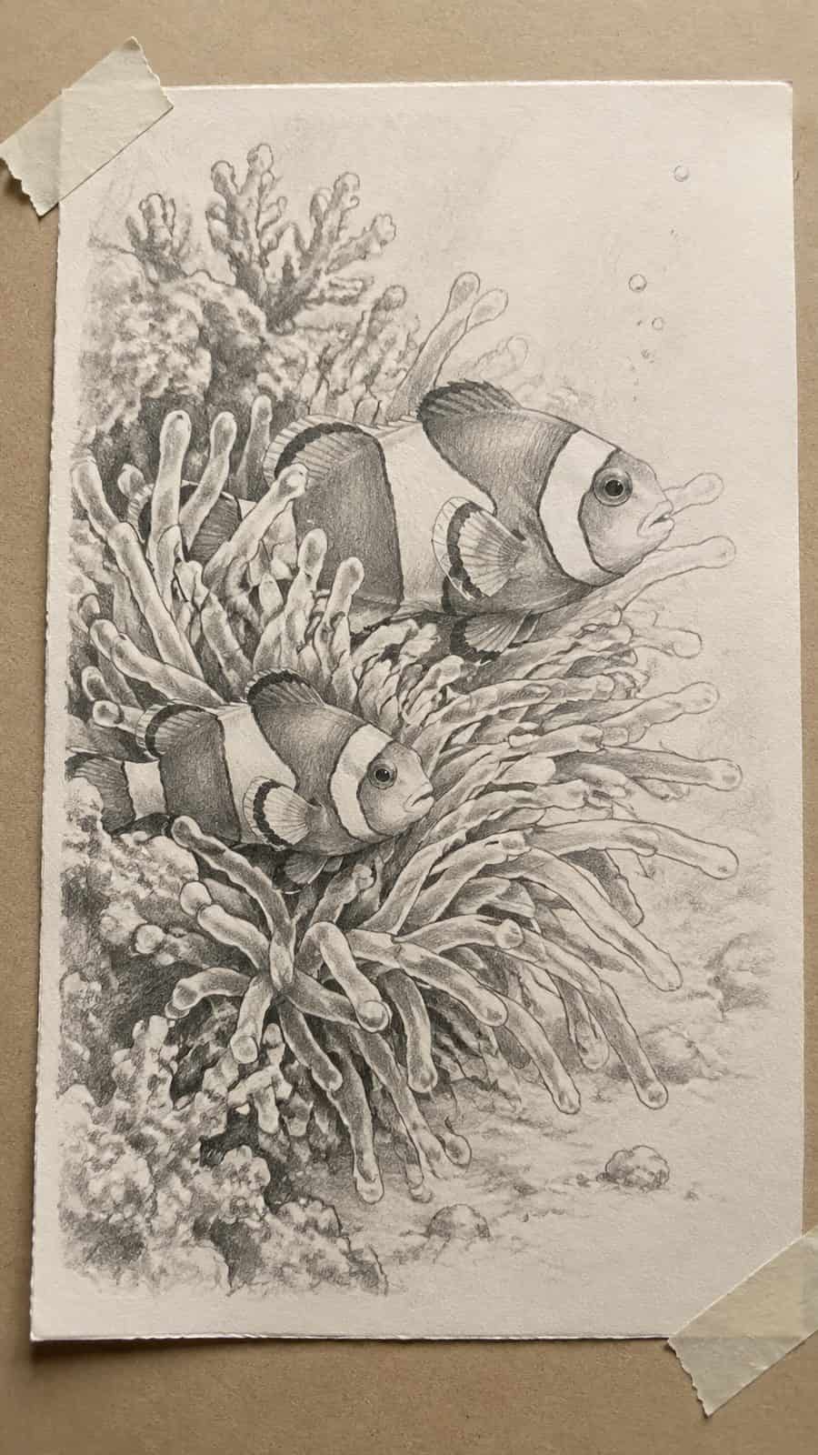 Hand-drawn the vibrant clownfish home in graphite drawing on textured paper, shown in a slightly off-center overhead composition, like — study 2