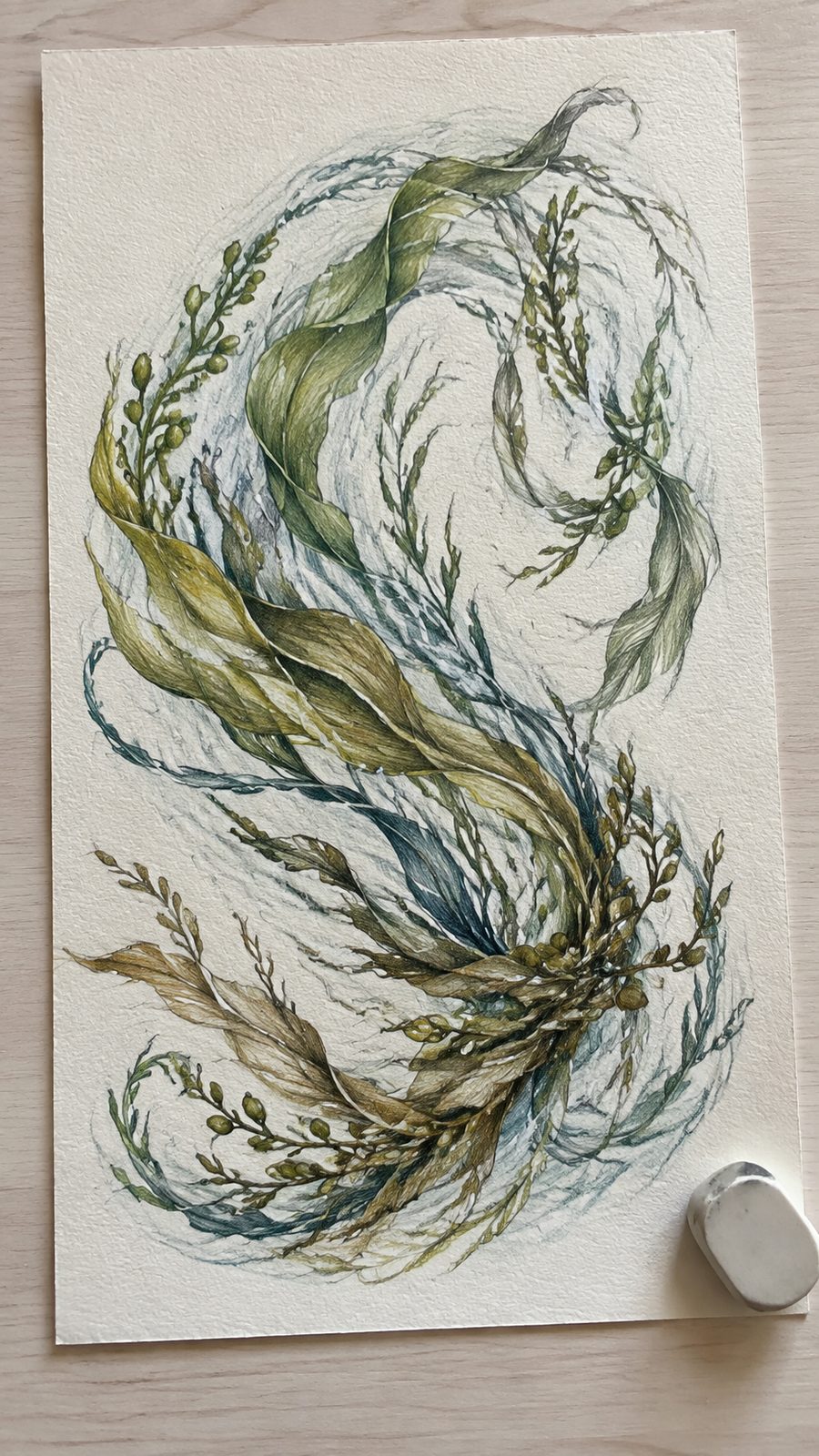 Hand-drawn intricate seaweed dance in colored-pencil and gouache drawing on textured paper, shown in a slightly off-center overhead — study 3