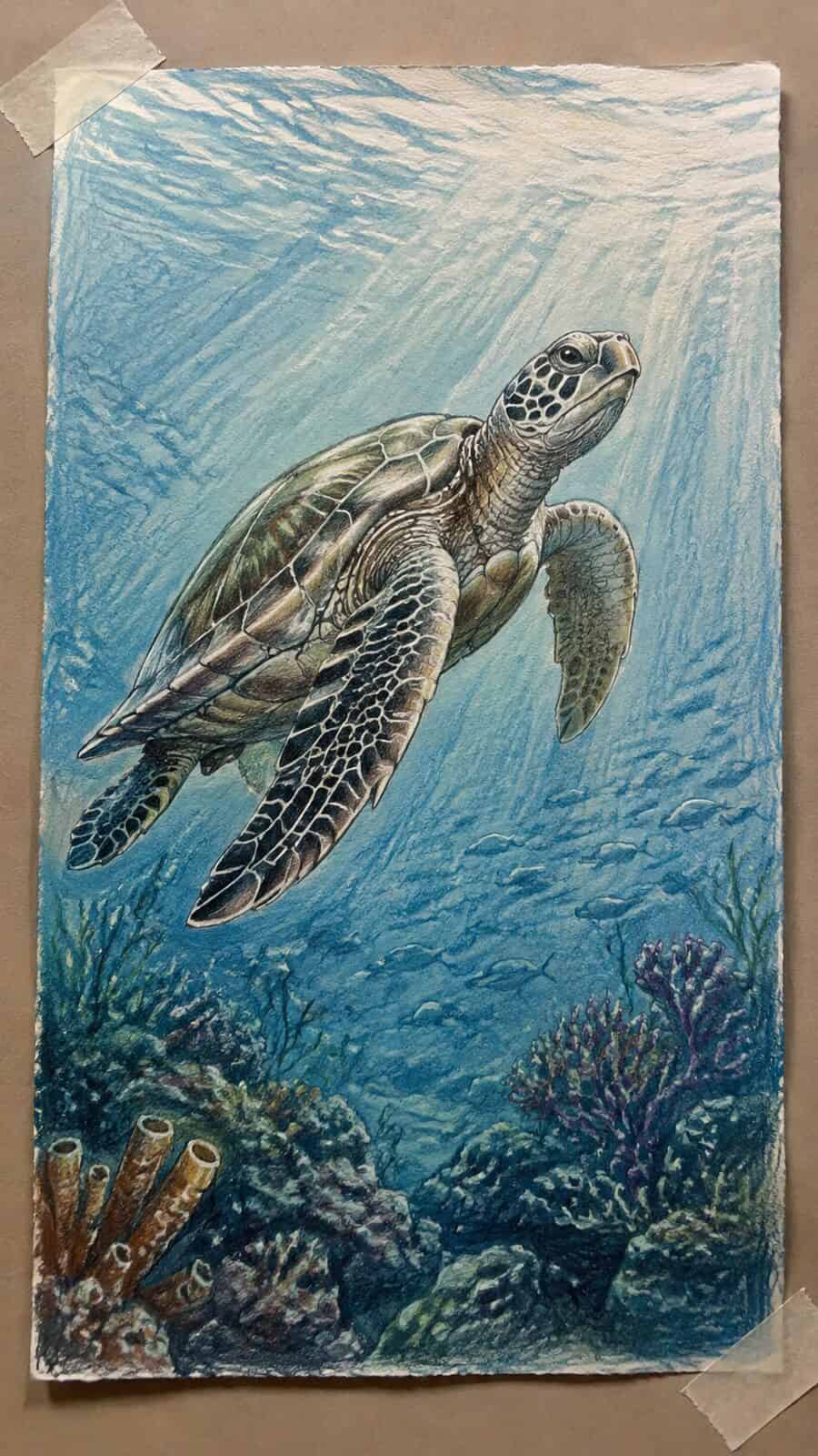 Hand-drawn majestic sea turtles in colored-pencil and gouache drawing on textured paper, shown in a straight overhead view — study 1